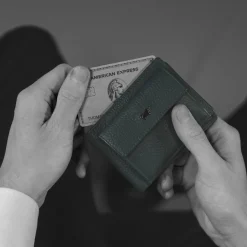 Braun BüffelTHEO RFID Geldbörse 6CS