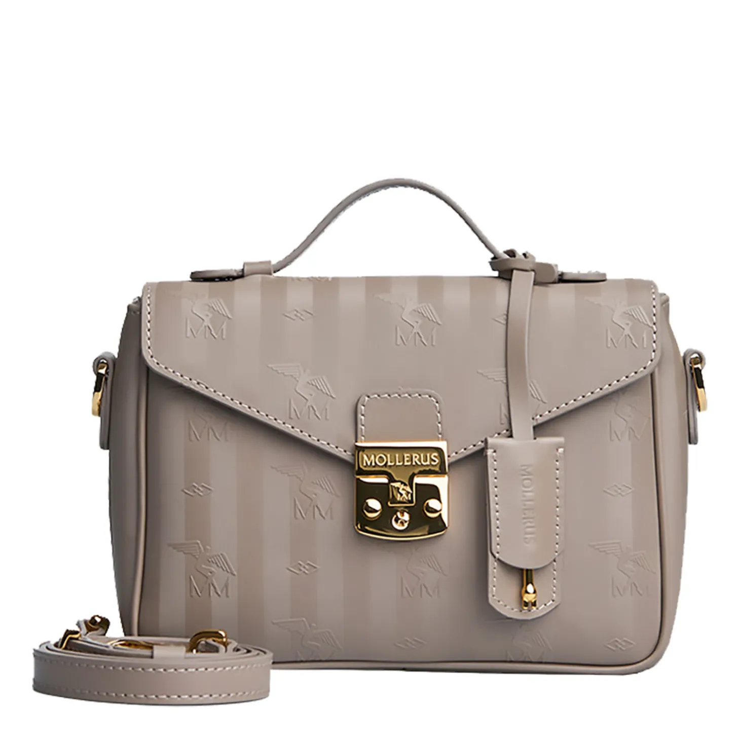 Maison MollerusMeyrin