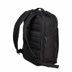 VictorinoxAltmont Professional Essential Laptop Backpack